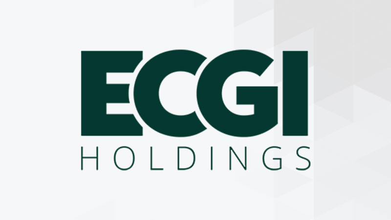 ECGI Holdings Inc.